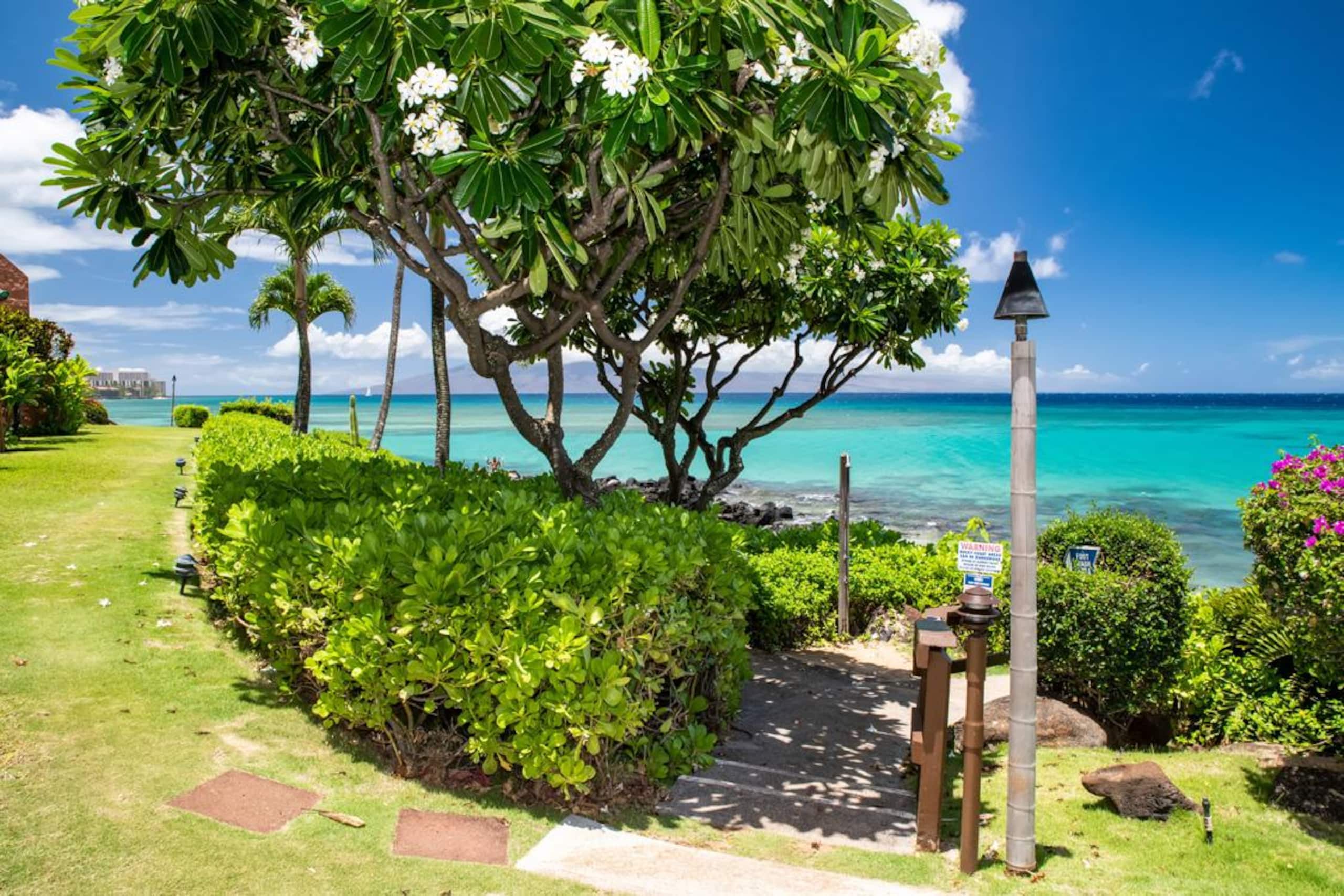 Oceanfront Kuleana 401 - Gorgeous Ground Floor - Image 26