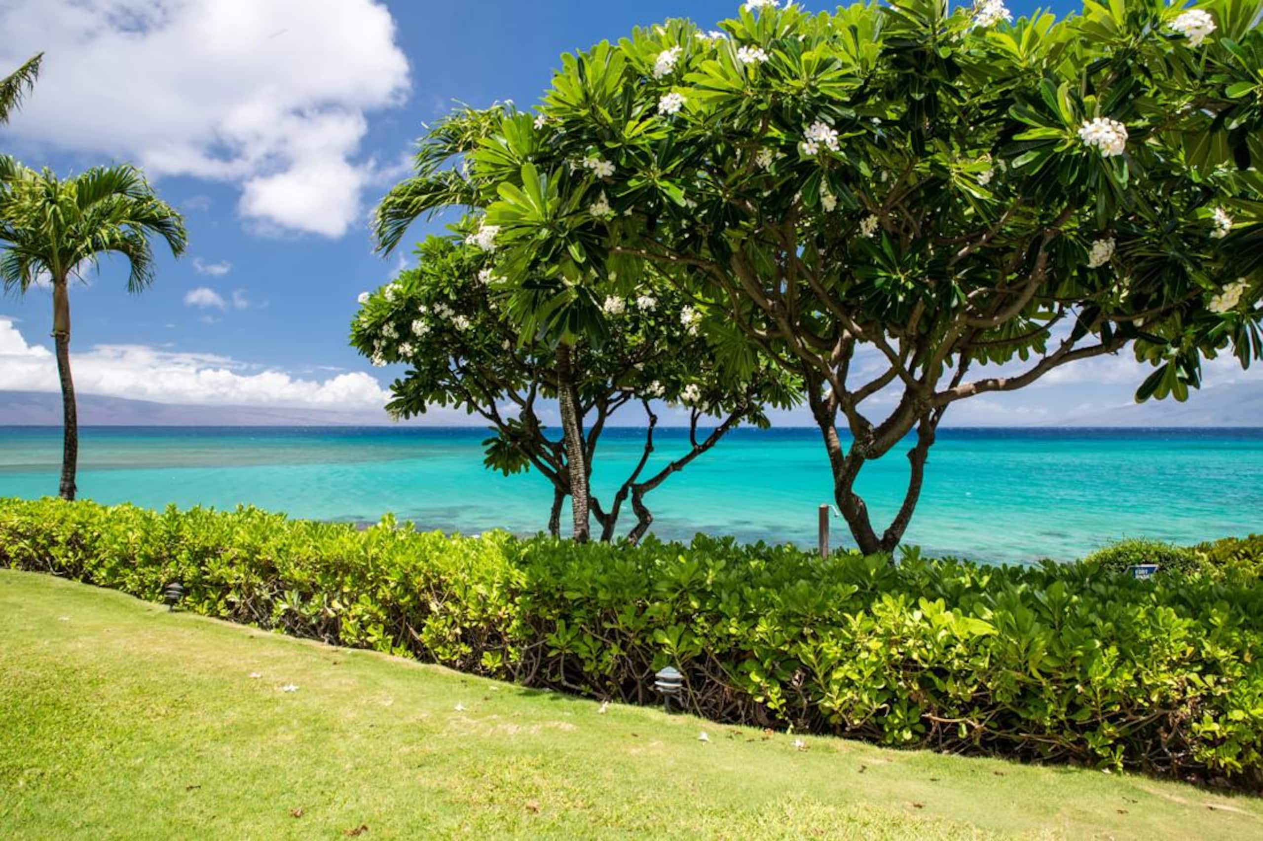 Oceanfront Kuleana 401 - Gorgeous Ground Floor - Image 18