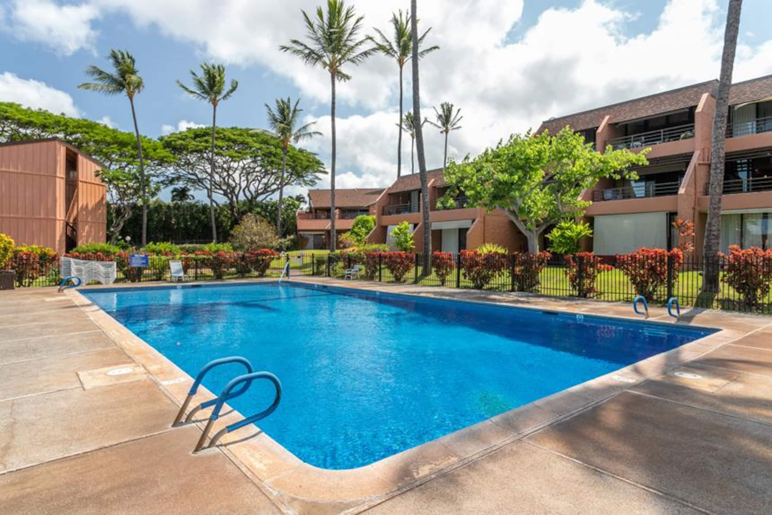 Oceanfront Kuleana 401 - Gorgeous Ground Floor - Image 5