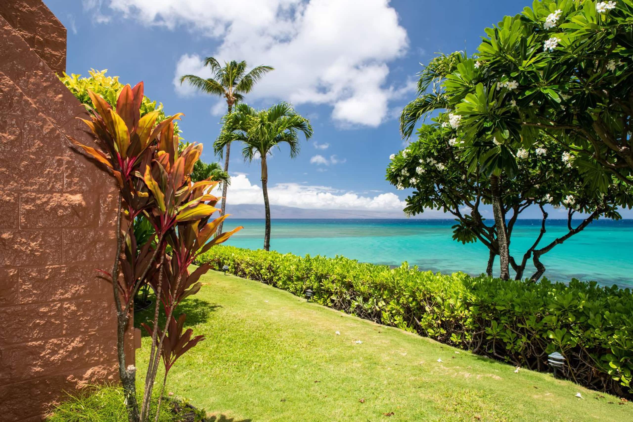 Oceanfront Kuleana 401 - Gorgeous Ground Floor - Image 17