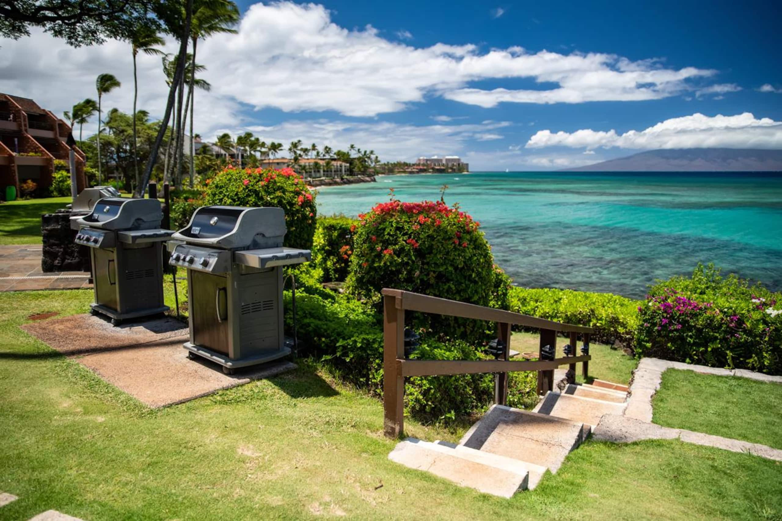 Oceanfront Kuleana 401 - Gorgeous Ground Floor - Image 21