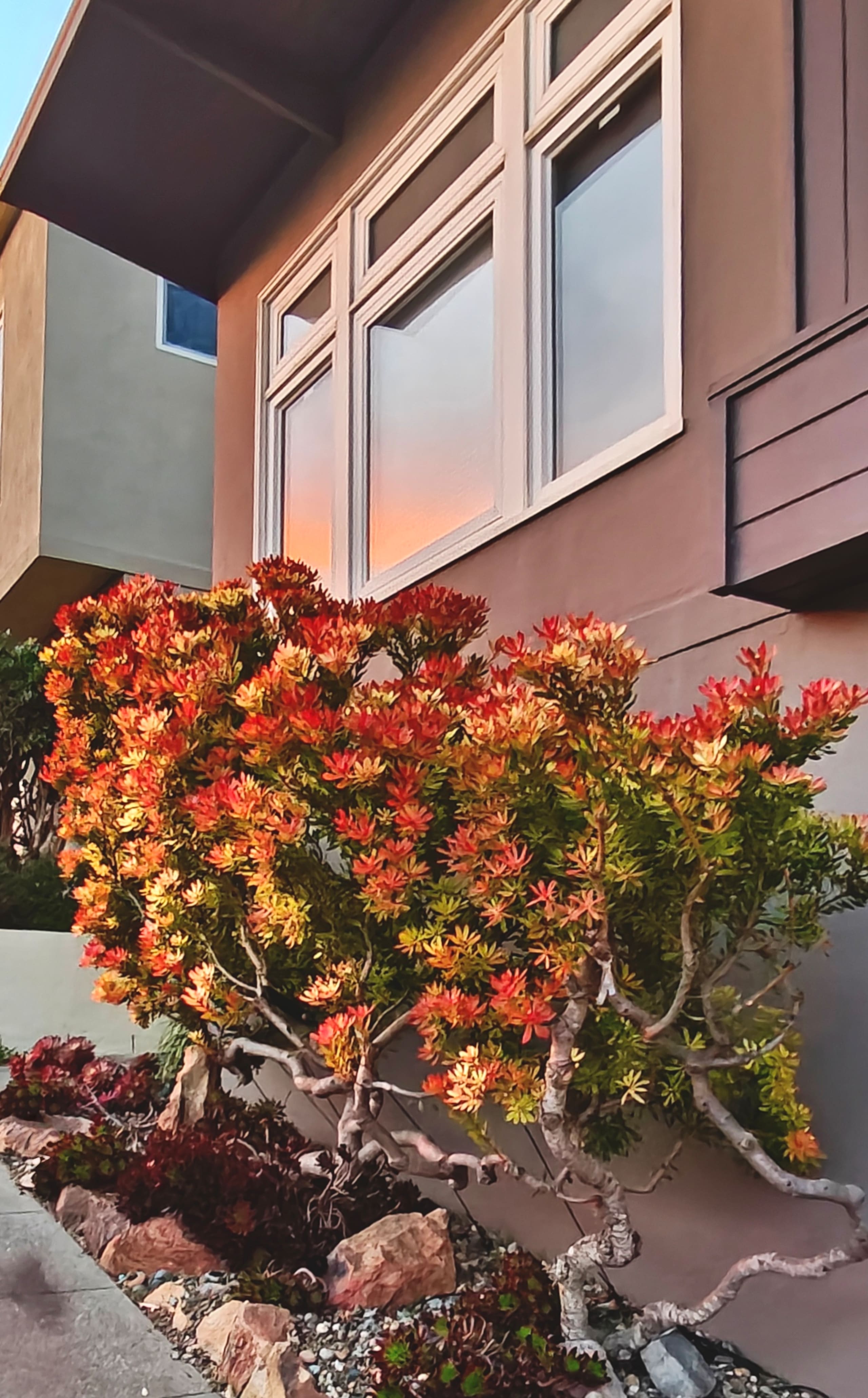 Home in San Francisco · ★4.96 · 2 bedrooms · 2 beds · 1 bath - Image 34
