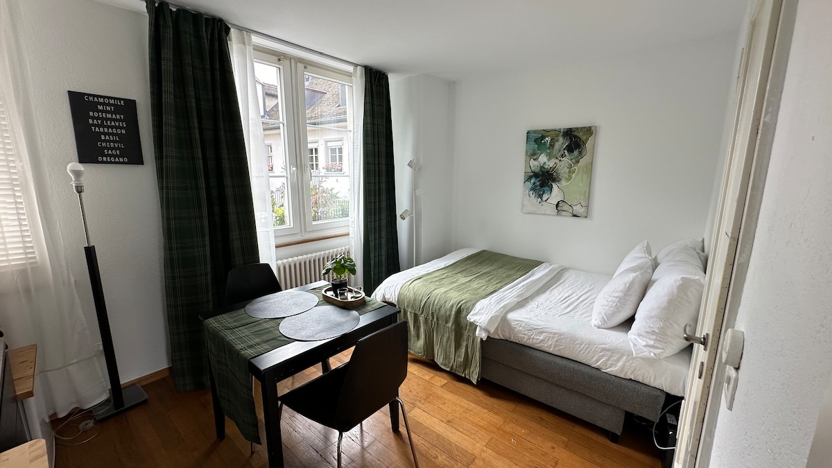 Popular Airbnb listing: Best address in quiet area with great views (F/W1) in Lindenhof