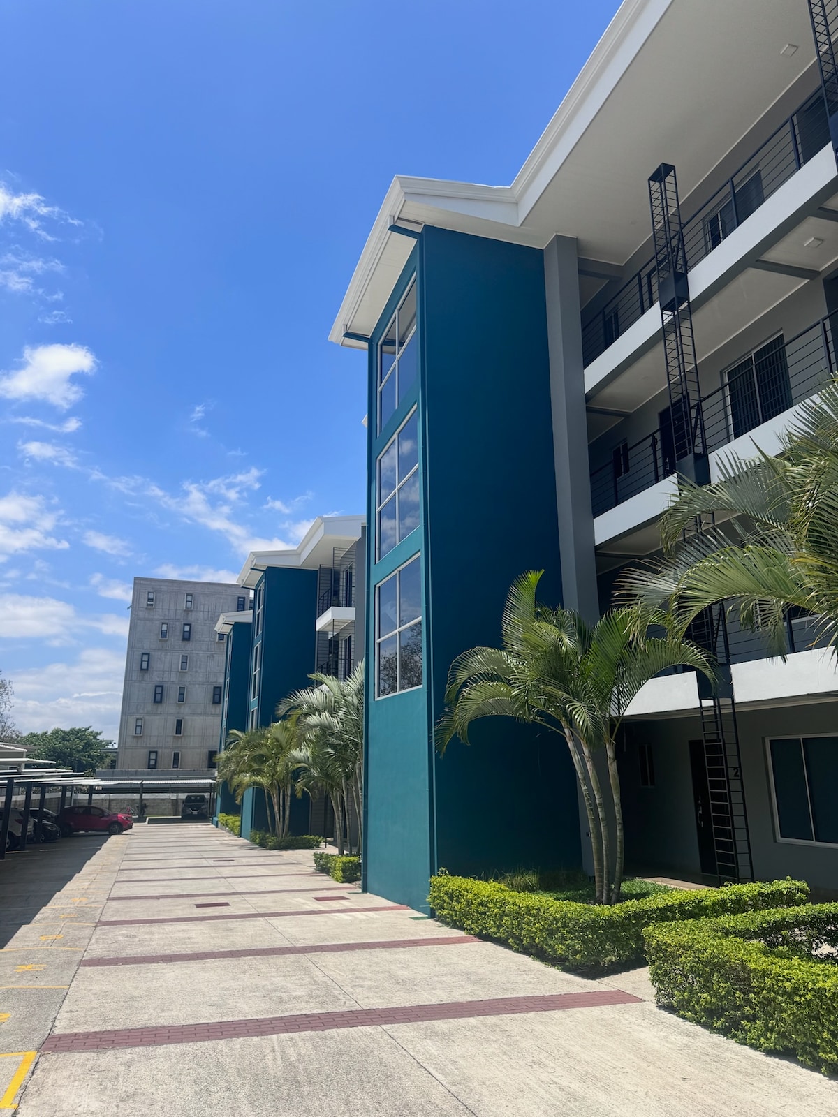 A modern three-story building with a striking teal exterior is surrounded by neatly trimmed hedges and palm trees. Clear blue skies create a bright atmosphere, highlighting the architectural details and accessible pathway leading to the entrance.
