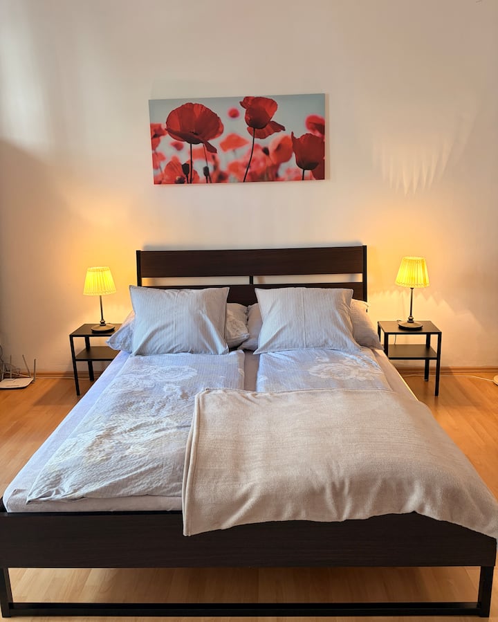 Budget Apartment In Prague's Best Area -