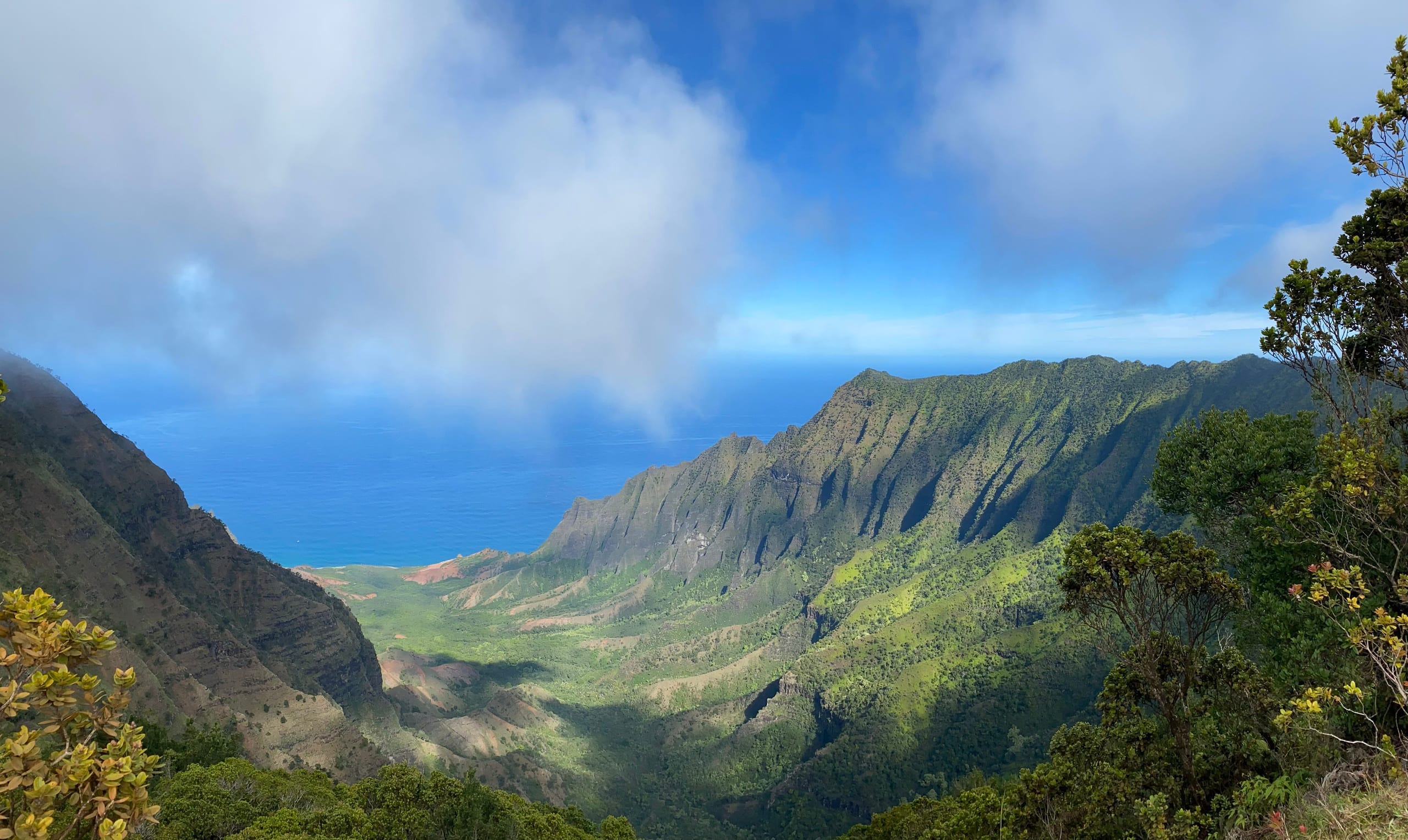 Princeville Top-Floor Retreat w/ AC & Pool  - Image 30