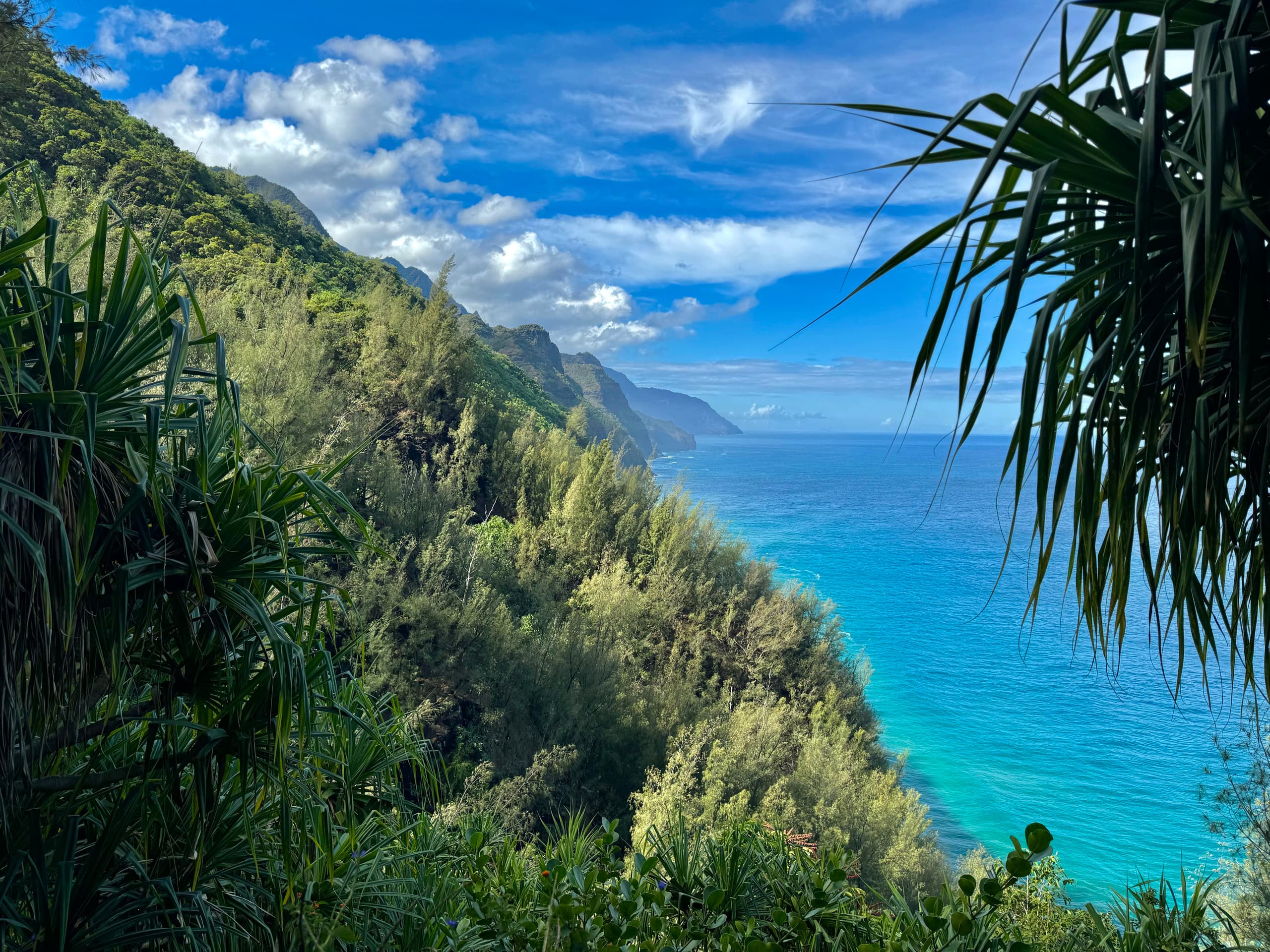 Princeville Top-Floor Retreat w/ AC & Pool  - Image 29