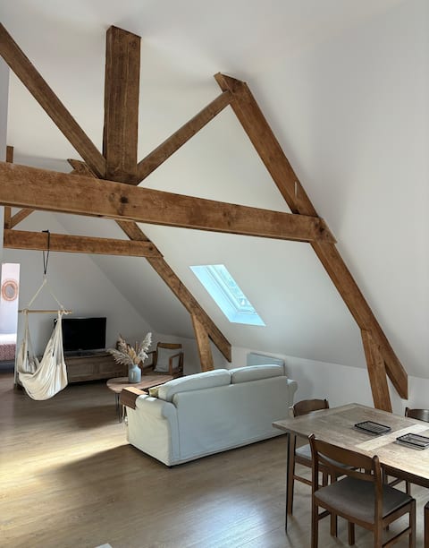 Modern waterfront apartment, historic district