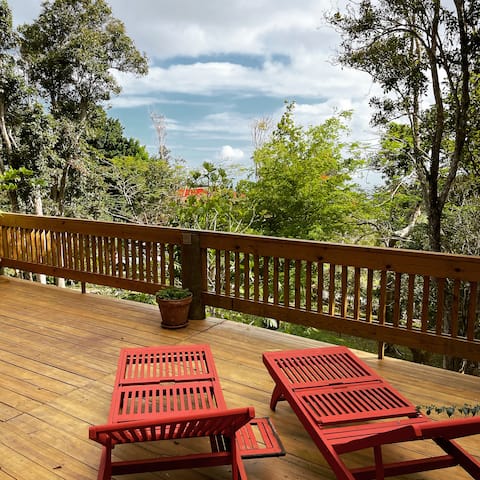 The Pretext: Villa 1M