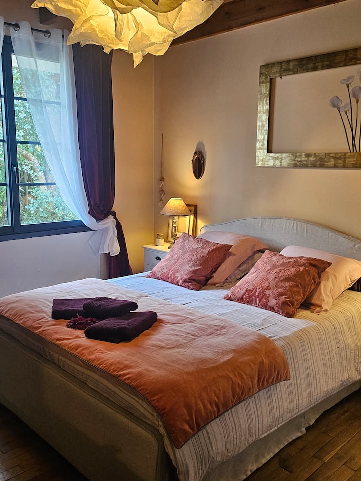 Двойно легло (Queen), розова стая „Графиня“ на приземния етаж 