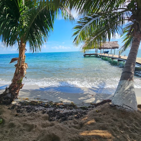 Vitamin Sea Hopkins Belize