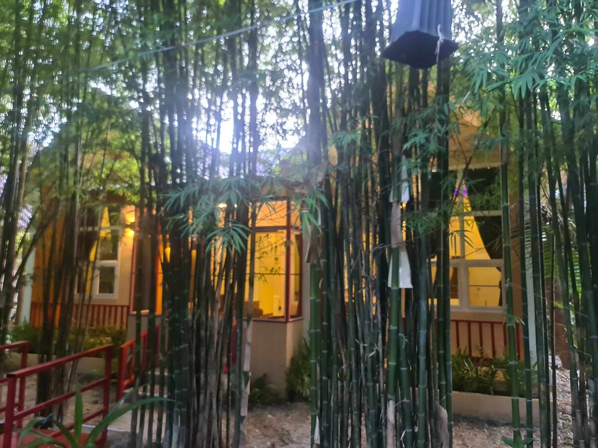 A cozy bungalow peeks through tall bamboo stalks, with warm light glowing from its windows. The inviting structure features a porch and is surrounded by lush greenery, creating a sense of privacy and tranquility.