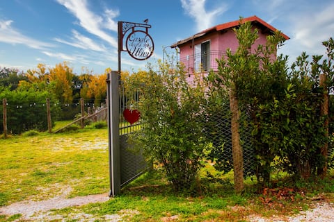 small farmhouse at "LE MOLINE" on a real farm