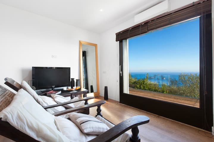 A Wonderful View To The Li Galli Island - Massa Lubrense