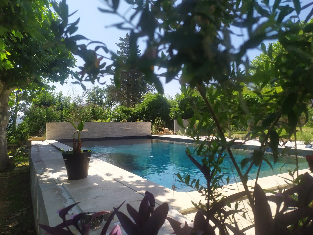 A serene swimming pool is framed by lush greenery and flowering plants. Smooth stone surrounds the pool, reflecting the blue sky. The area is designed for relaxation, with a potted plant placed elegantly near the pool's edge.