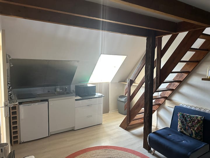 Studio Centre Historique Bourges - Bourges