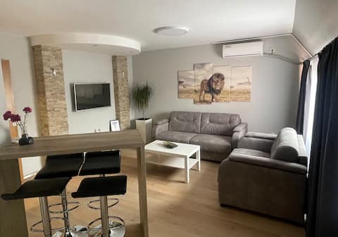Apartment Leo Lux