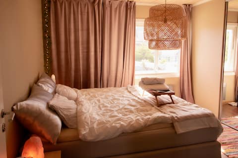 Sea view in quiet street near the city - one hour from Oslo