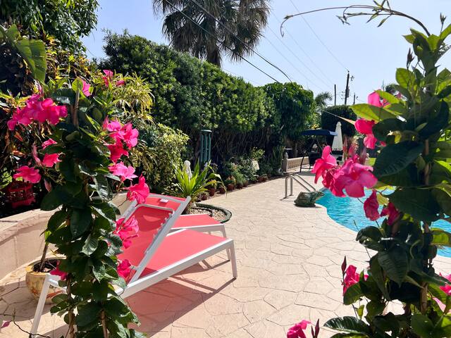 4/3 Heated Pool Butterfly Garden Screened Patio gallery image 2