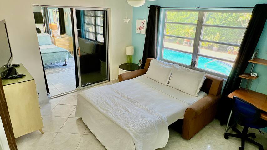 4/3 Heated Pool Butterfly Garden Screened Patio gallery image 5