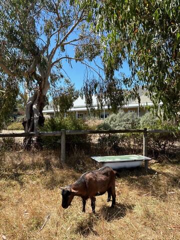 Burrendah House Mornington Peninsula