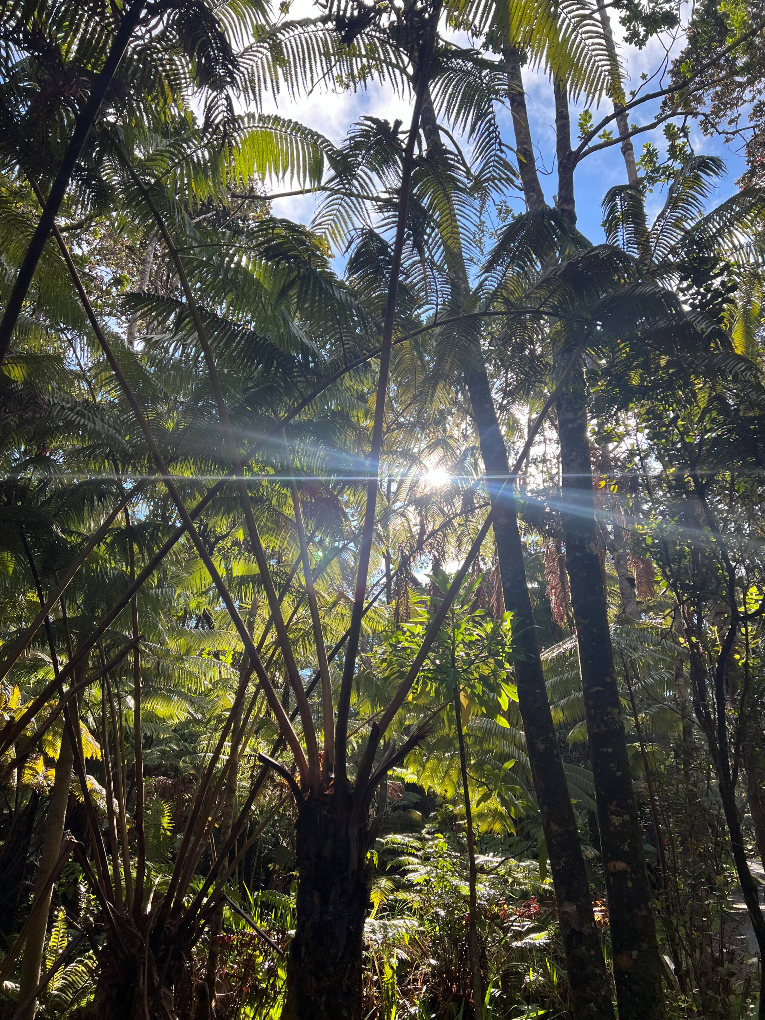 Home in Kailua-Kona · ★4.87 · 1 bedroom · 1 bed · 1 shared bath - Image 33