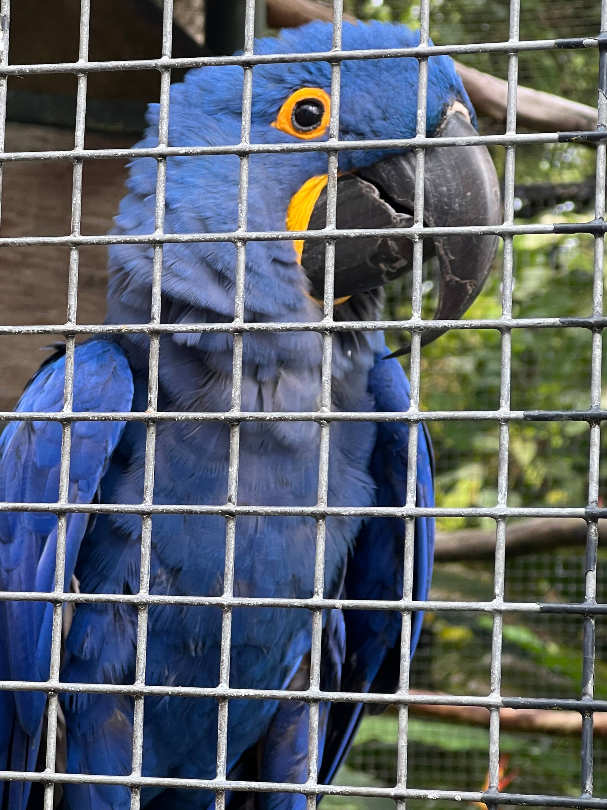 Home in Kailua-Kona · ★4.87 · 1 bedroom · 1 bed · 1 shared bath - Image 49