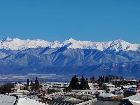 Entire Art House • Rooftop Terrace