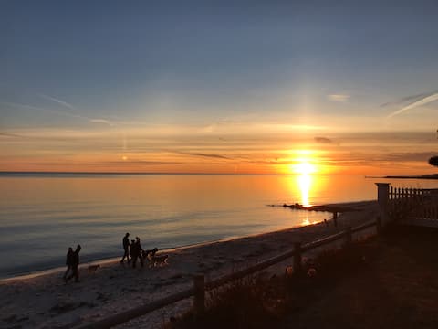 Popular Airbnb listing: Cozy cottage in Harwich Port - 100 steps to beach in Harwich Port