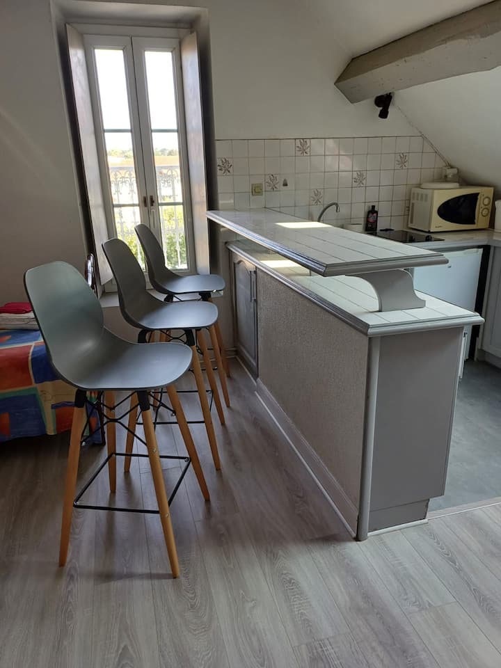 Tres Beau Studio Anglet Cote Basque Dans Chateau - Anglet