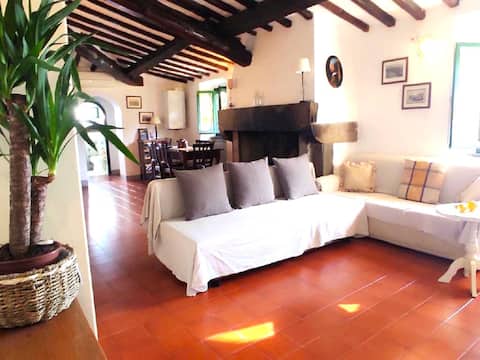 Top performing Airbnb: Podere I Rovai-apt IL RIFUGIO-in the heart Tuscany in Reggello