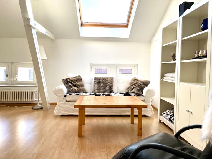 El salón incluye un cómodo sofá que invita a sumergirse en un buen libro.