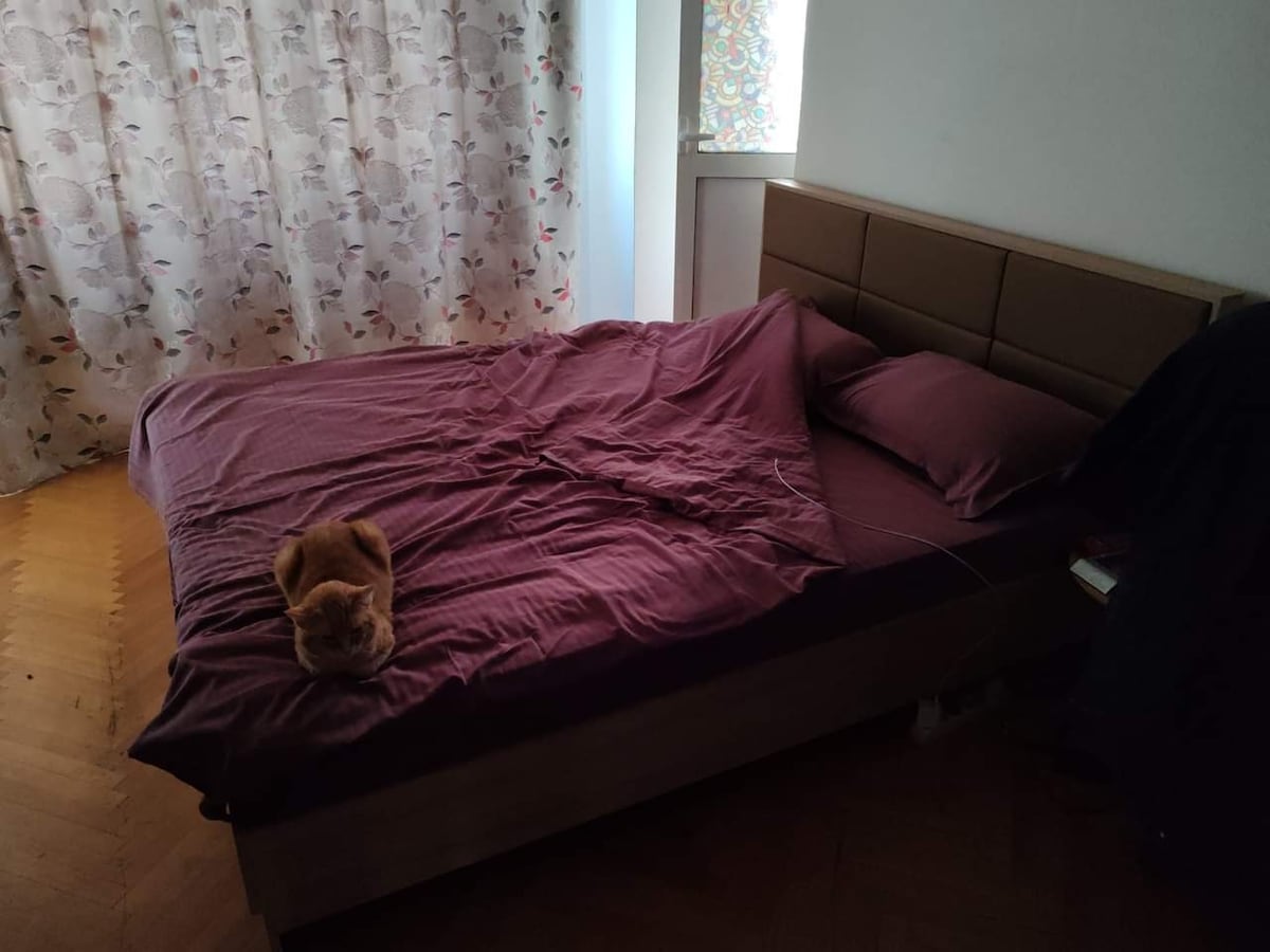 A spacious bed with a burgundy duvet is positioned against a wall. Two pillows are arranged at the head of the bed. Natural light filters through a sheer curtain adorned with floral patterns. A cat rests on the bed, adding warmth to the scene.