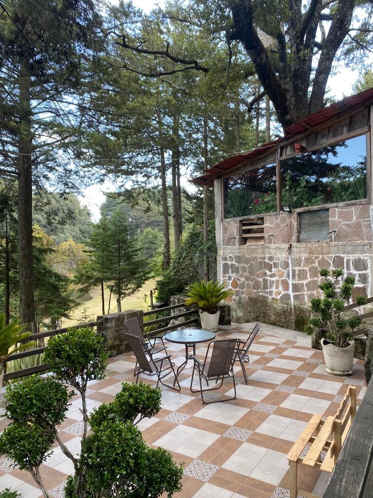 A spacious terrace with tiled flooring features a table and chairs surrounded by greenery. Potted plants are placed strategically, and the view beyond showcases tall trees and a natural landscape. The structure above has large windows allowing for ample natural light.