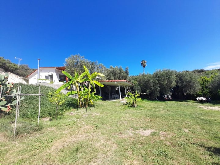 Balahouti Olive House, Kalamitsi - Sarti