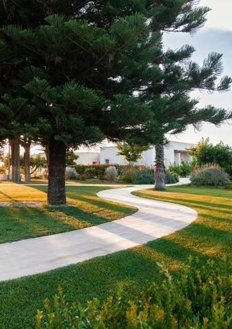 Villa in Puglia with pool, Holidays in Salento gallery image 5