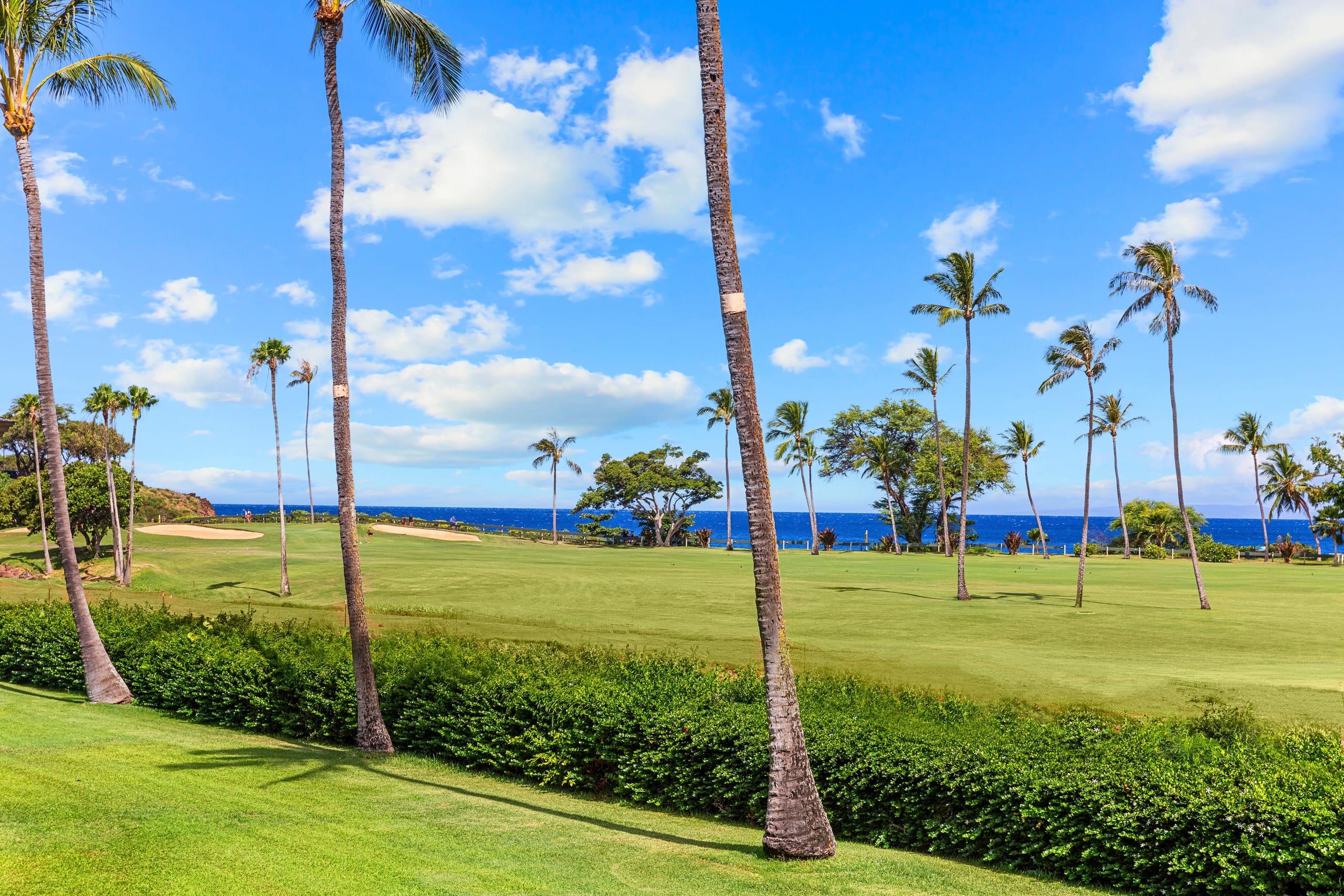 Condo in Kaanapali · ★4.94 · Studio · 1 bed · 1 bath - Image 34