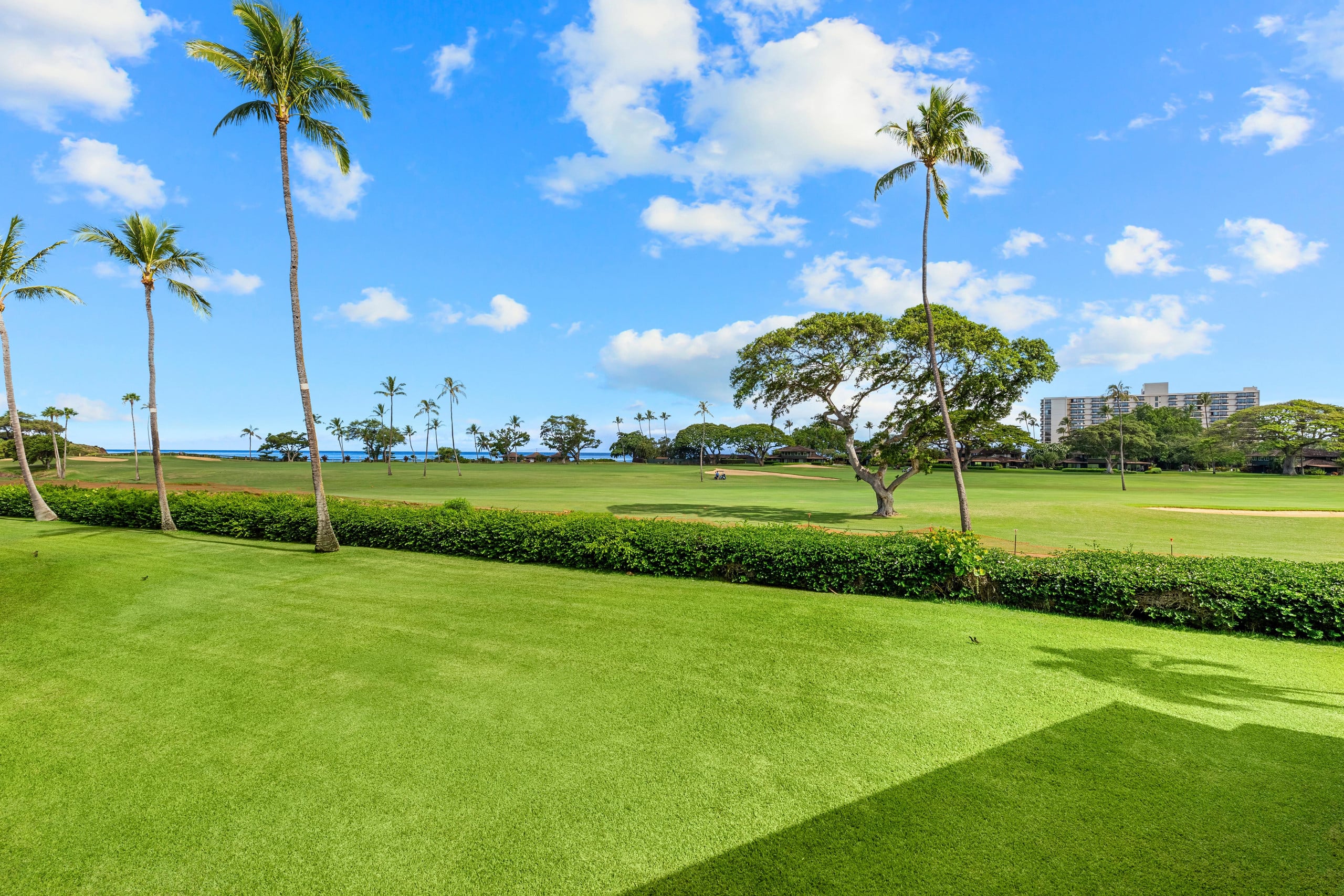 Condo in Kaanapali · ★4.94 · Studio · 1 bed · 1 bath - Image 29
