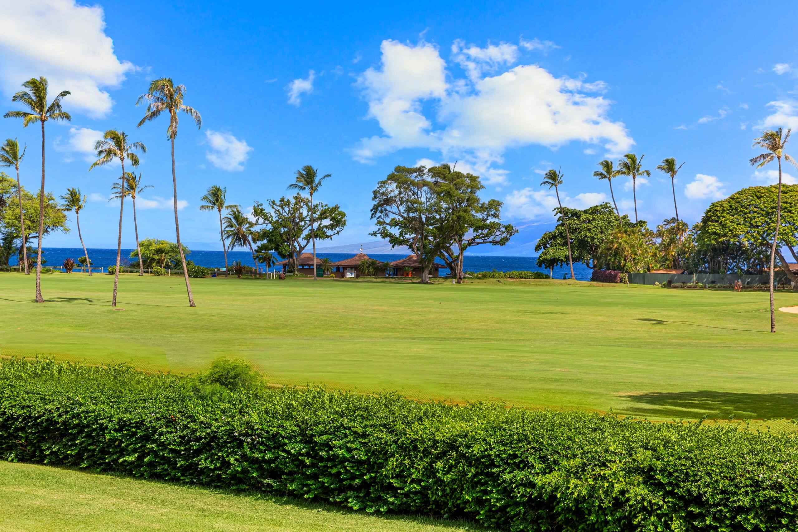 Condo in Kaanapali · ★4.94 · Studio · 1 bed · 1 bath - Image 35