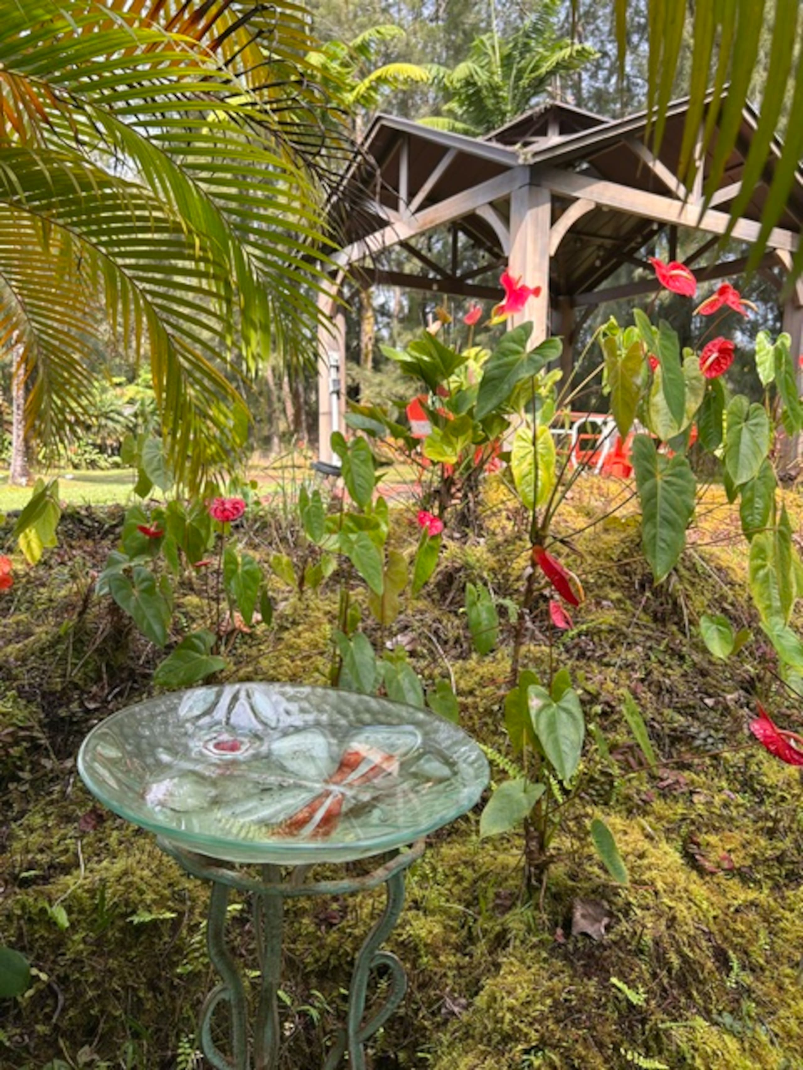 Fern Acres B&B - Photo 86