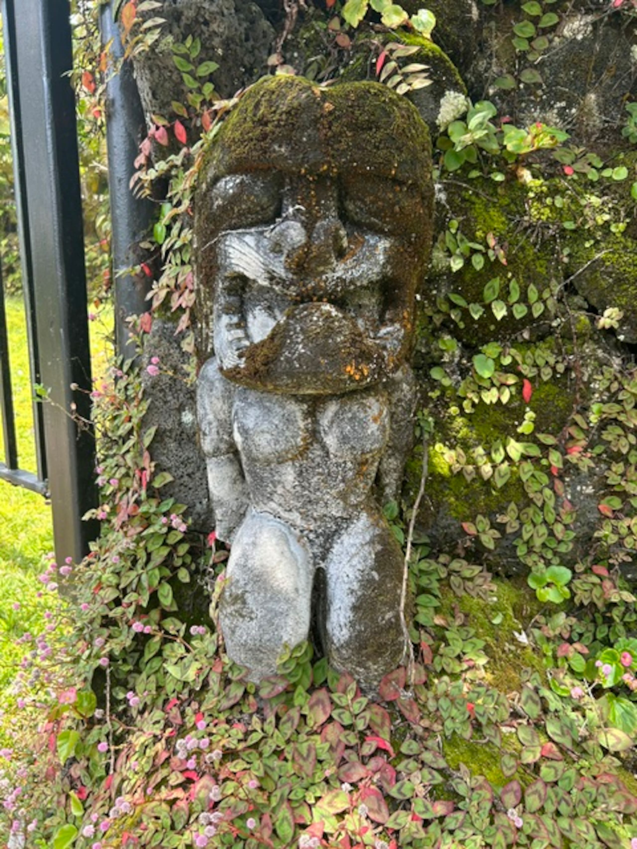 Fern Acres B&B - Photo 69