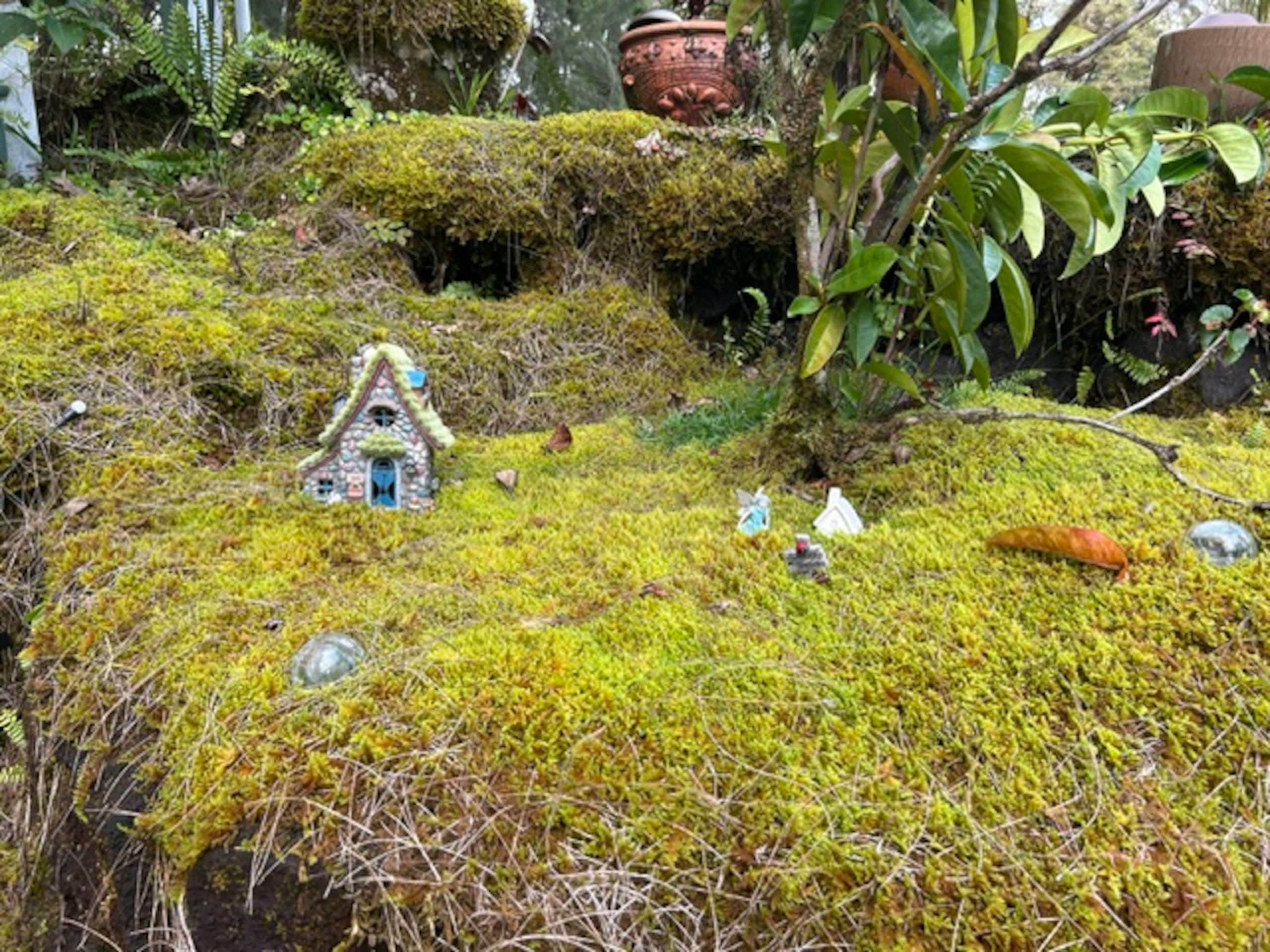 Fern Acres B&B - Photo 100
