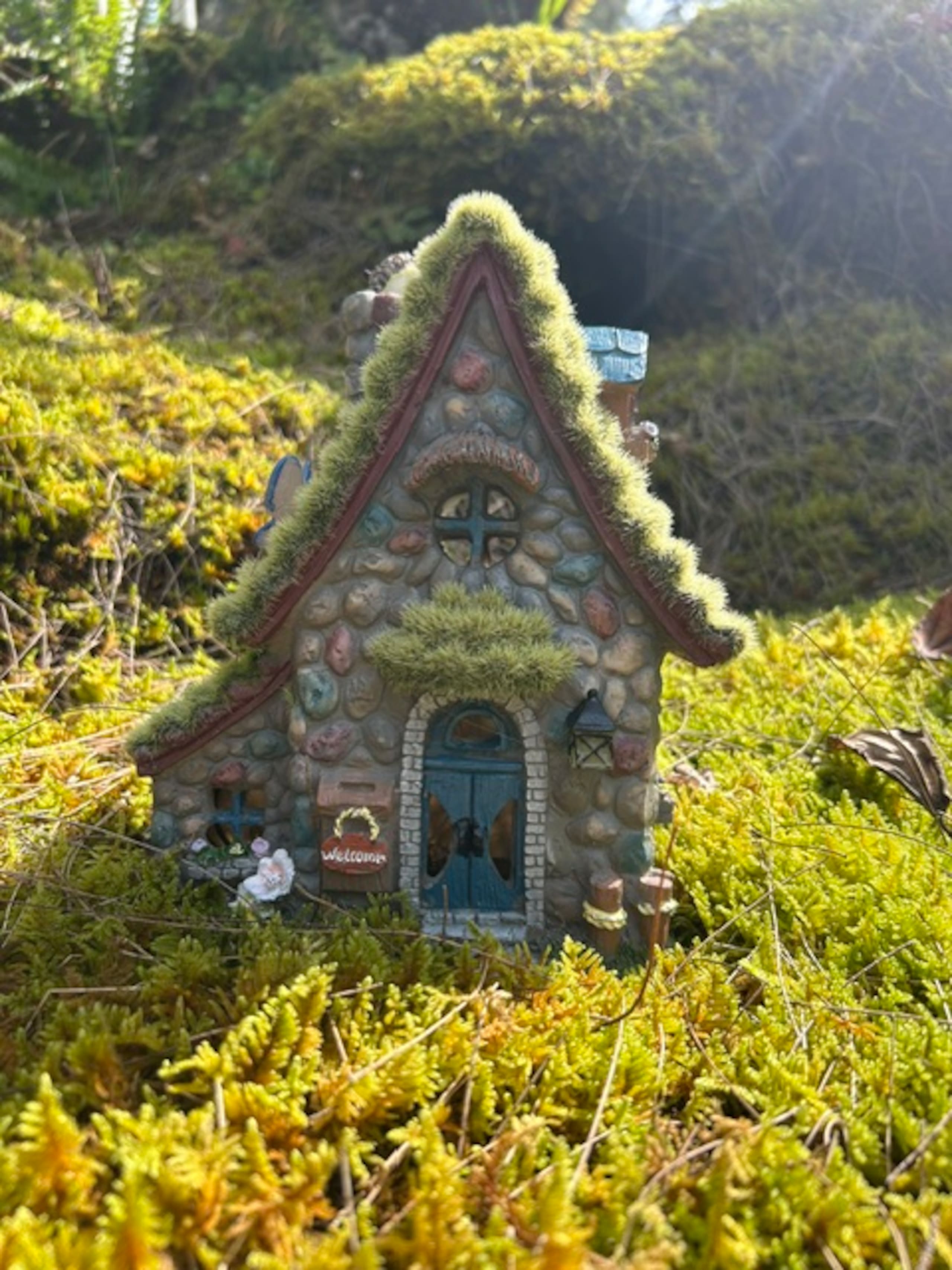Fern Acres B&B - Photo 85