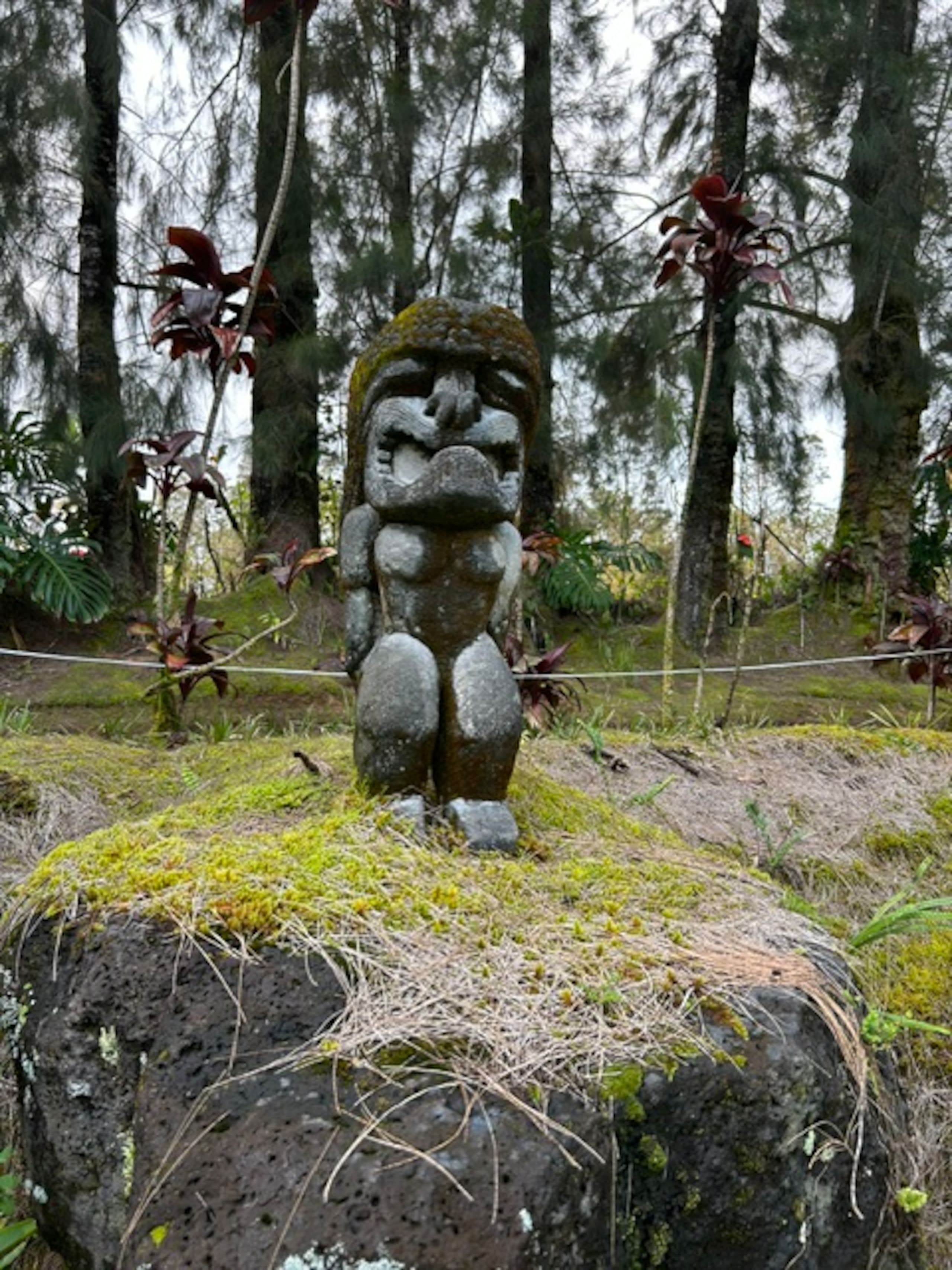 Fern Acres B&B - Photo 101