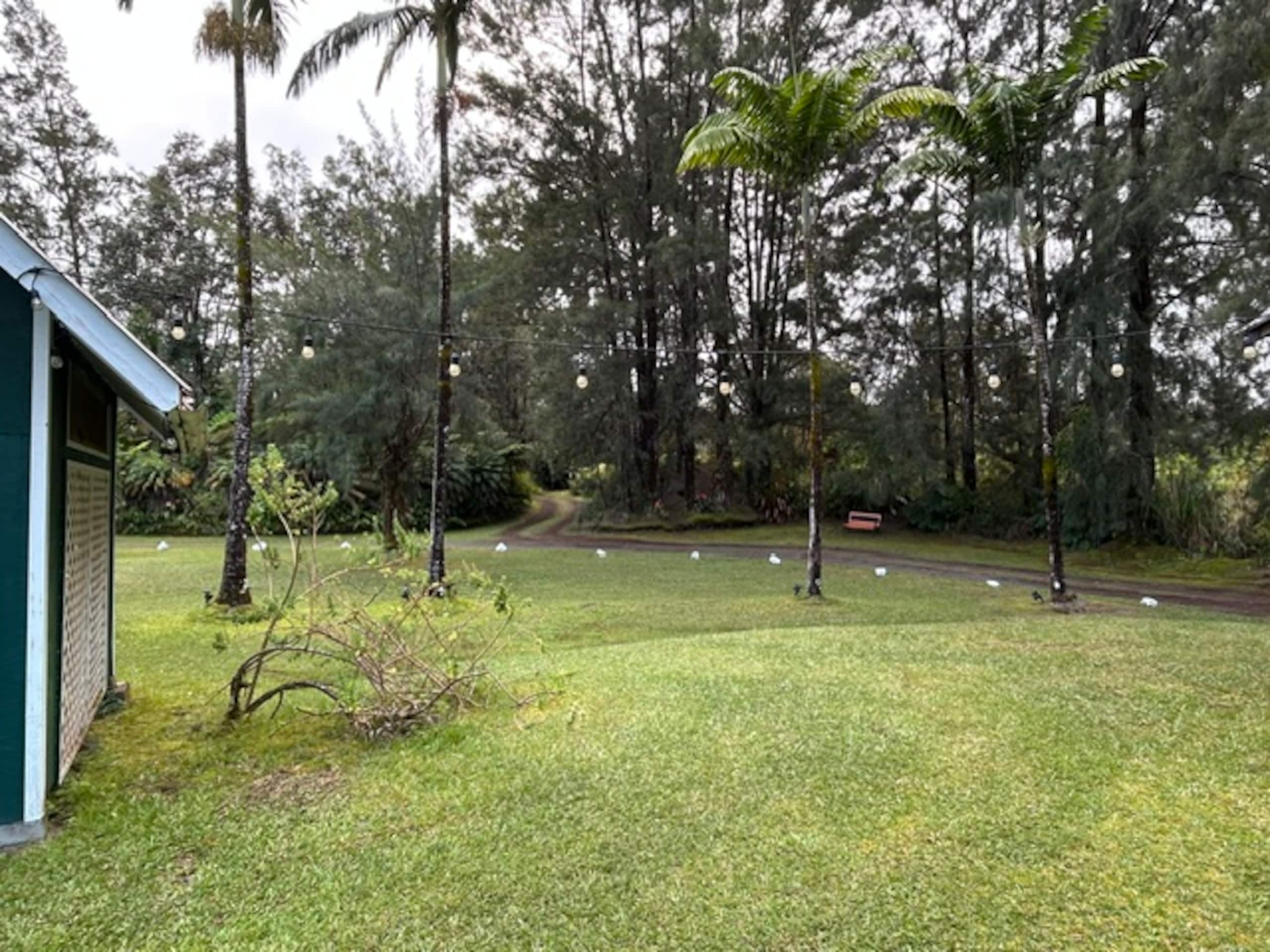 Fern Acres B&B - Photo 92