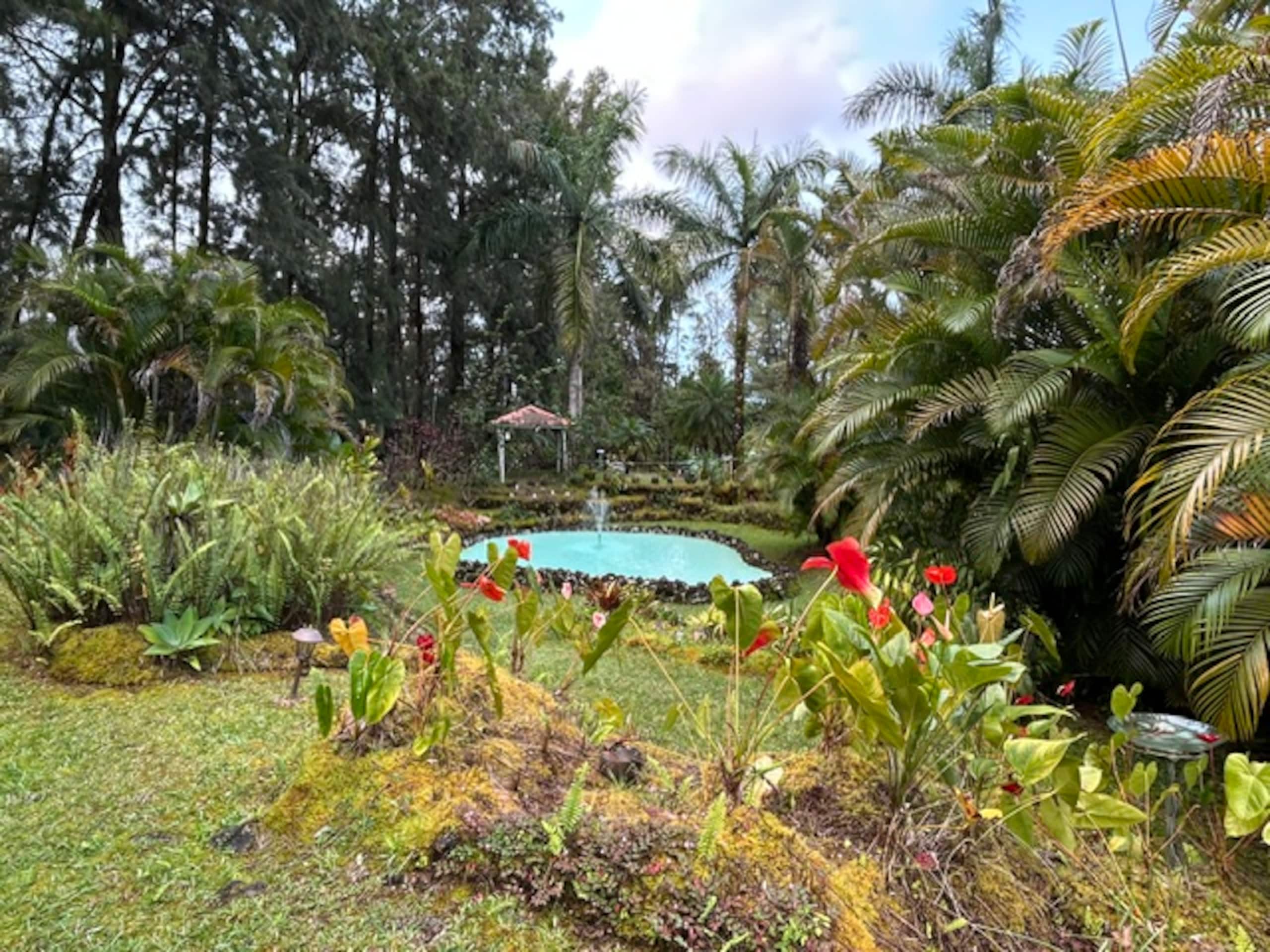 Fern Acres B&B - Photo 94