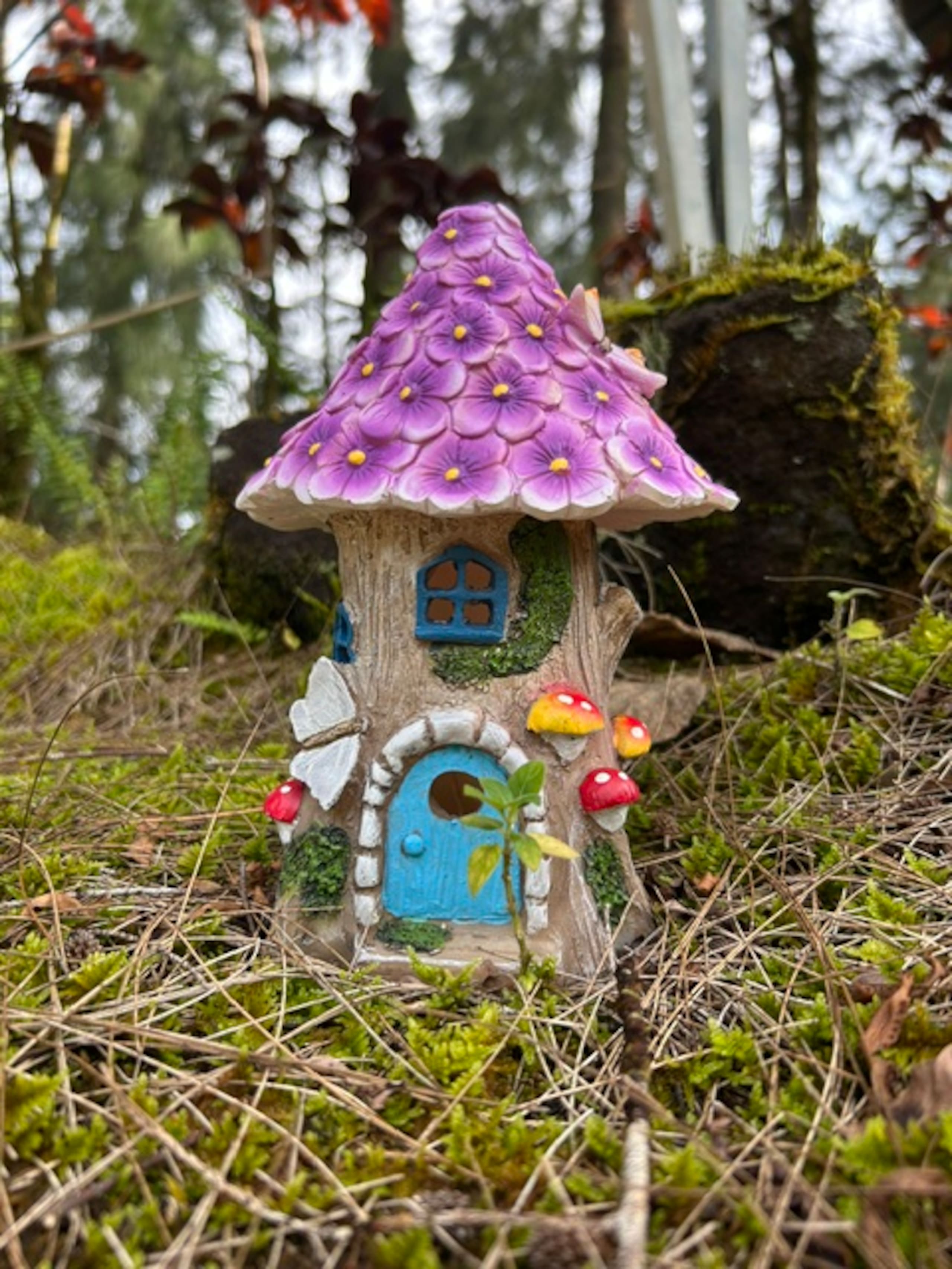 Fern Acres B&B - Photo 88