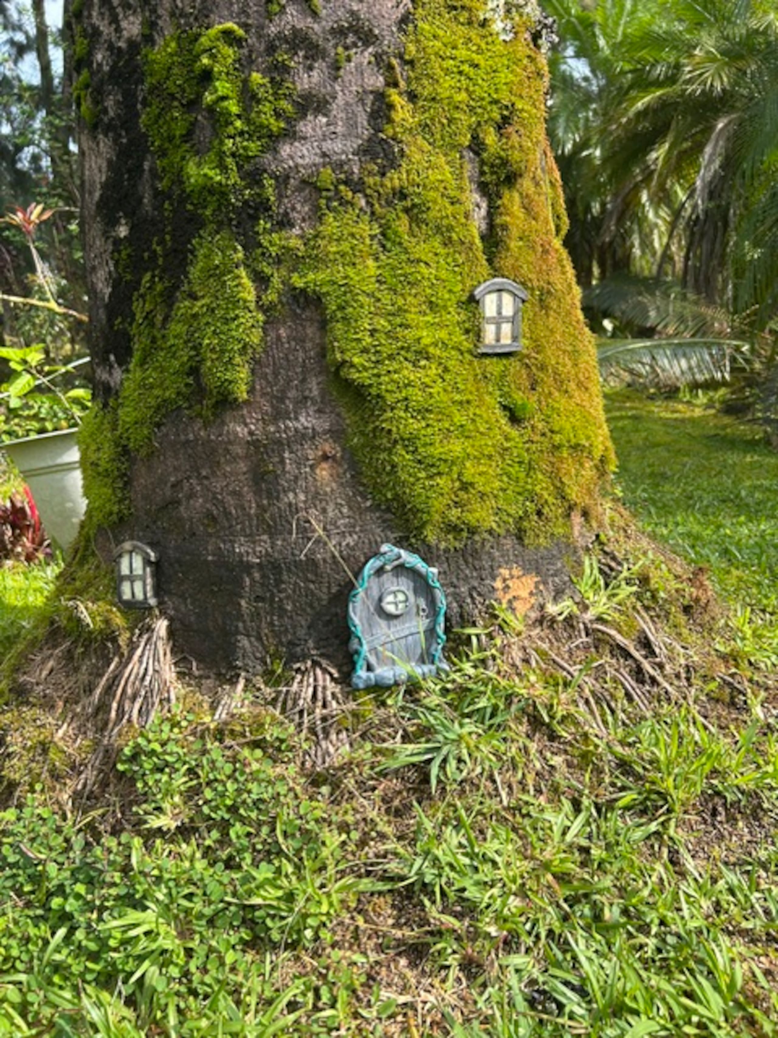 Fern Acres B&B - Photo 78