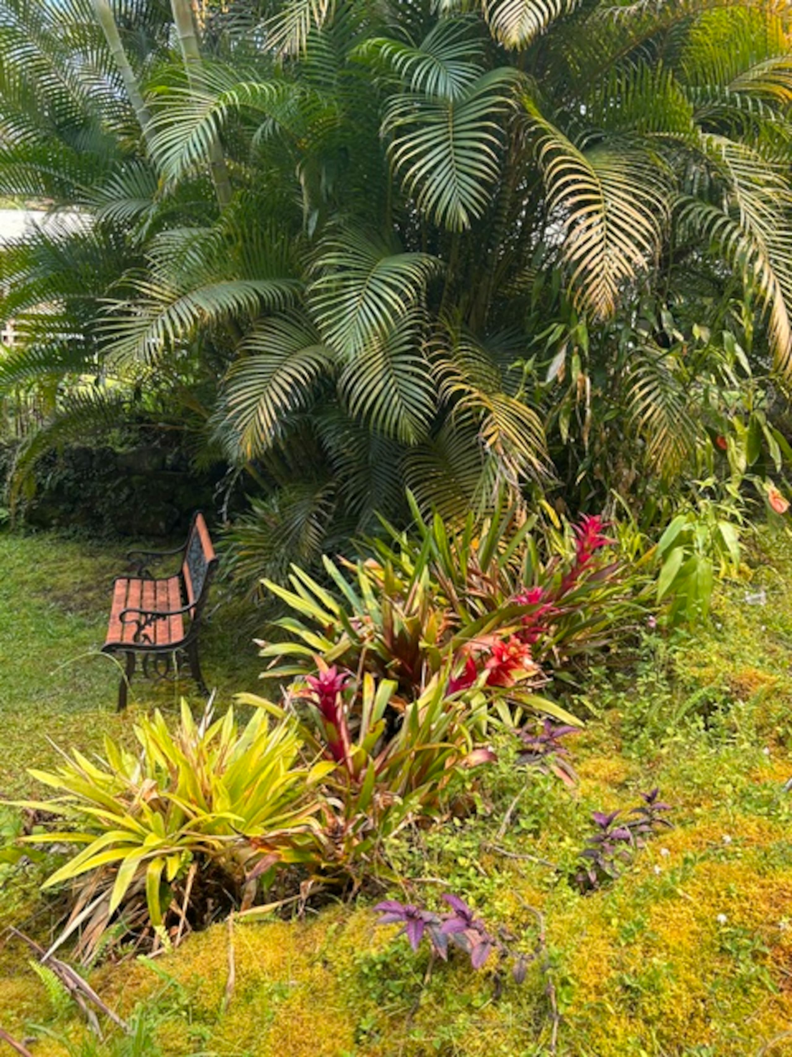 Fern Acres B&B - Photo 99