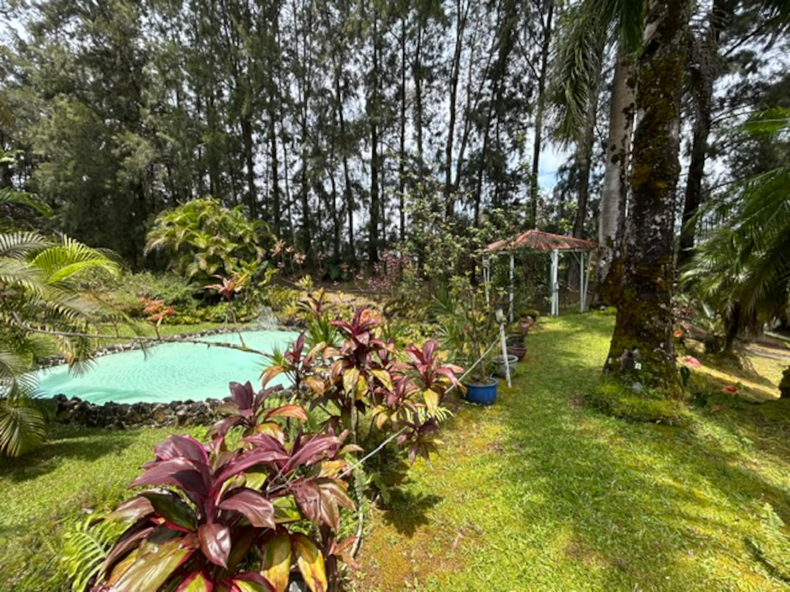 Fern Acres B&B - Photo 75